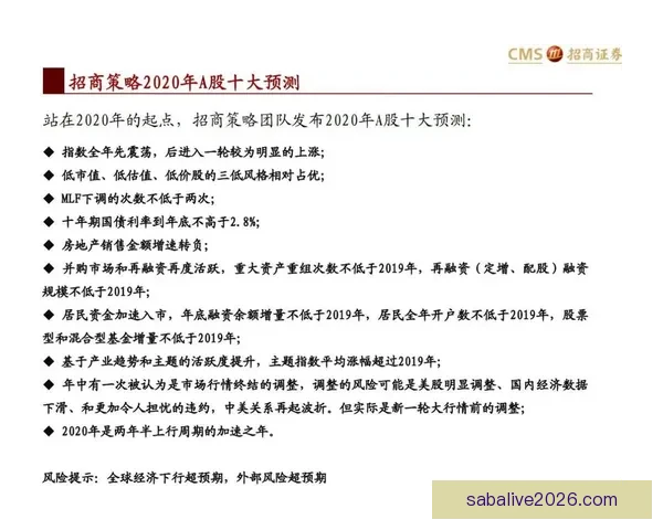 世界杯竞猜盘口深度解析与精准赛果预测策略指南